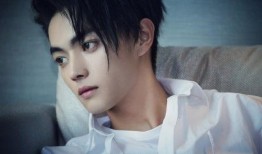 媒体爆料许凯视频下载软件,揭秘明星隐私泄露背后的技术黑手